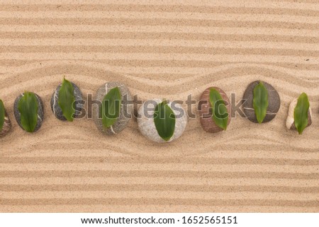 Leaves lie on stones on zigzag lines of sand. Copy space. Top view