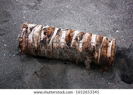 Photograph of a piece of coconut tree that is carried by the waves and is lying on the sand