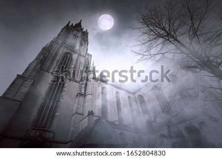 Old gothic Church with Moonlight and foggy Night in Frankfurt in Germany 