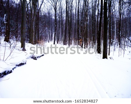 A winter scene in Muskoka Ontario.  The picture is of a cross country ski track on a beautiful winter day in cottage country in Ontario.