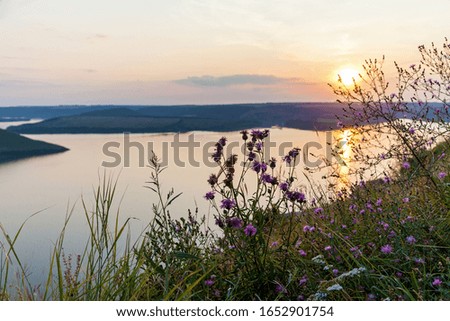 A beautiful panoramic view of a pink sunset over a big lake on a summer day. There are pink wildflowers in front of this nature picture.