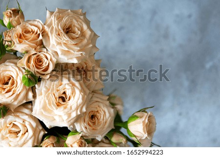 Bouquet of roses close-up on a gray background. Copy space. Horizontal orientation