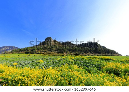 'Dan mountain in Jeju
It's a spring landscape.