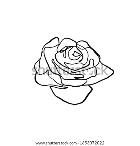 flower rose drawn in one continuous line, botanic element in minimalism graphic style, trendy nature icon. 