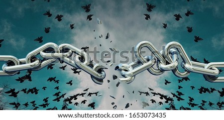chain breaking in peaces and birds escape to the sky - 3d rendeing
