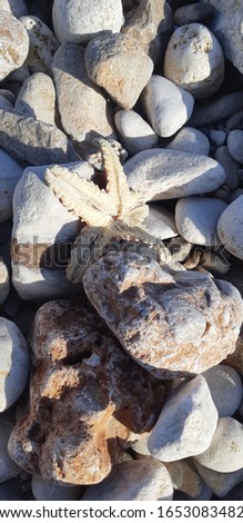 Photo of stone wall texture background, Naturally polished white rock pebbles background