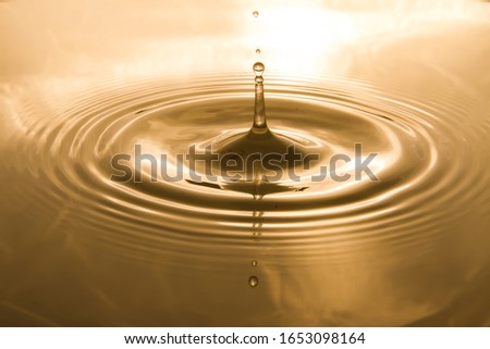 Drops of water on the surface of the water spreading and forming waves, reflecting the beautiful light from the golden evening light.