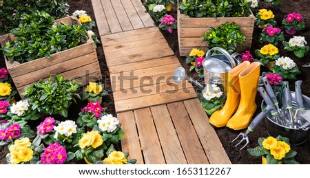 Gardening Tools Set And Flowers In Garden