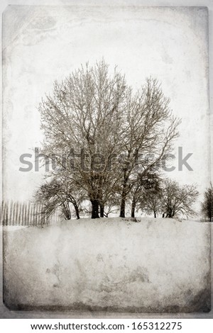 Vintage Winter Landscape with snow