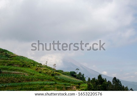 green fields against a backdrop of mountains covered in white fog