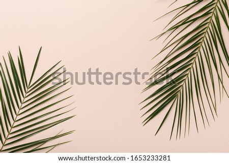 Creative natural eco green background with monstera leaves on pink background, copy space