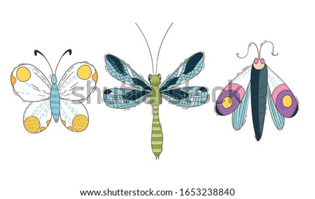 Set of three colorfull  butterfly, outline illustration, isolated on the white background. Vector illustration