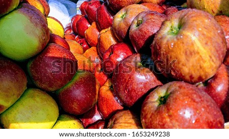 a picture of red and green apples with sprinkles of water on a sunny day 