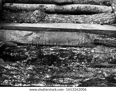 Black and white of firewood. Top view close up details