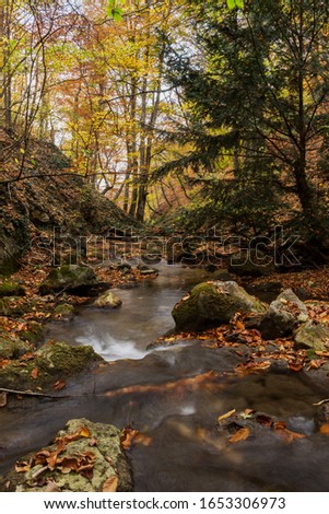 Autumn landscape with a mountain river. Colorful autumn forest. Fallen leaves in the river. Mountain gorge in autumn in the Crimea. Ulu-Uzen river in the vicinity of Alushta.