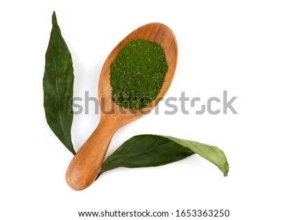 Kariyat or Andrographis paniculata,dried green leaves and powder in the wooden spoon on a white background.