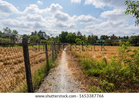 Country road in Viet Nam