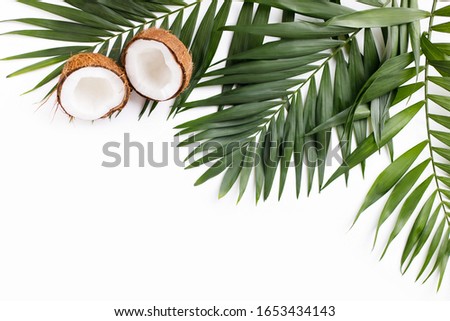 Summer vibes. Vacation, paradise, ocean shore resort, tropical beach travel concept, sea coast. Palm leaves and coconut halves on white background. Summertime creative layout, copy space