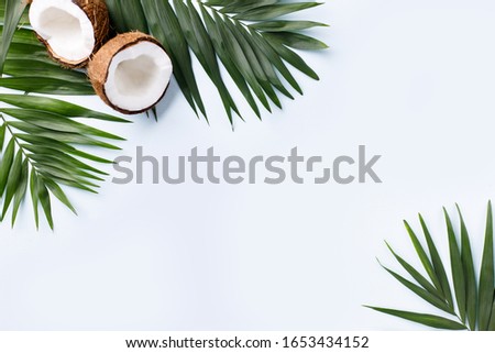 Summer vibes. Vacation, paradise, ocean shore resort, tropical beach travel concept, sea coast. Palm leaves and coconut halves on blue background. Summertime creative layout, copy space