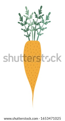 Carrot icon in flat style isolated on white background