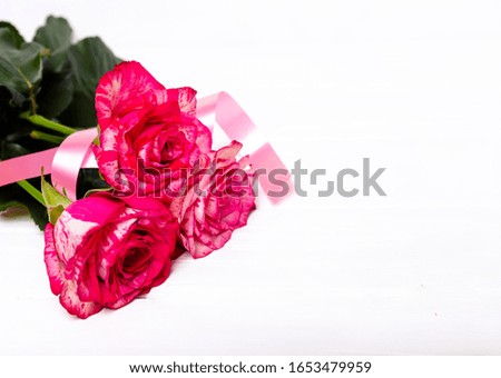 Pink roses and red ribbon isolated on white background. The concept of the holidays