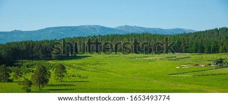 Amazing view of houses and pine trees in Ural mountains in South Ural.  Scenic landscape. Tourist destination for summer  holidays.