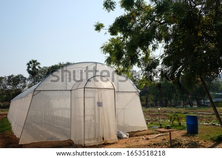 White green house on blue sky background. Plants crop in greenhouse,vegetable greenhouses,The entrance sign means no entry before being allowed