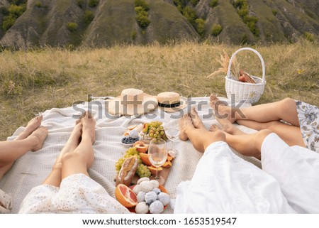 The company of female friends relaxing on summer picnic. Summer rural style picnic concept