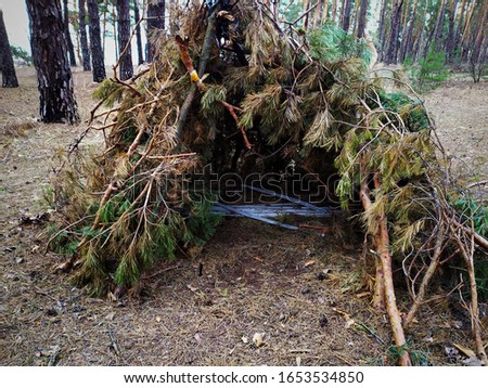 Hut in the forest. From spruce branches. Travel