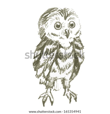 stock vector hand drawn owl illustration