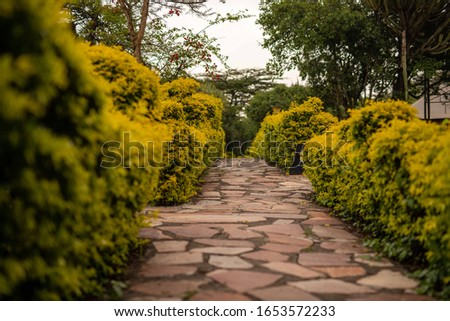 a road of stones to the rooms in a beautiful Lodge in the Masai Mara