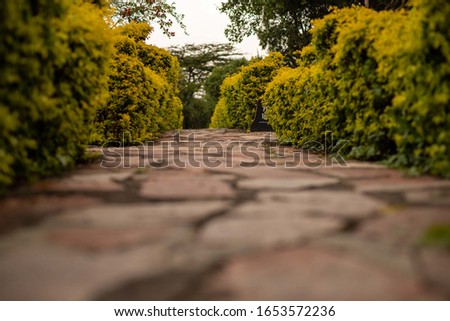 a road of stones to the rooms in a beautiful Lodge in the Masai Mara