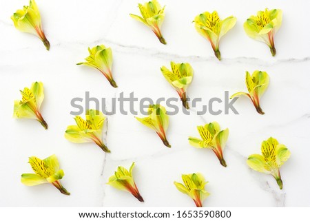 Flowers composition. Yellow flowers on on marble background. Spring, 8 of march, woman day, mothers day, easter concept. Flat lay, top view, copy space.