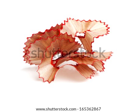 Closeup of pencil shaving isolated on white background 