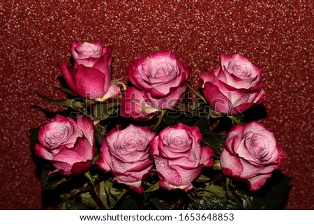 Rose buds with dew drops on a red background