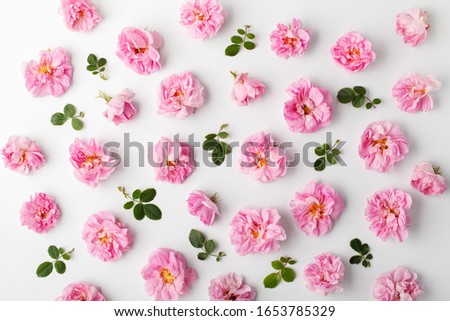 Floral pattern made of pink damask roses and green leaves on white background. Flat lay, top view.