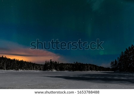 Aurora borealis, northern lights, Polar lights with many clouds and stars on the sky by moonlight over a frozen lake and snowy forest in Sweden. long shutter speed.