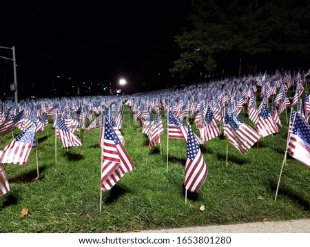 American Flags Display On A Green Grass