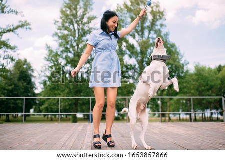 Beautiful caucasian girl trains her beautiful black-and-white big dog in the park in the summer