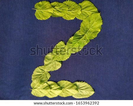 Letter Z alphabet made with green leaf over blue background