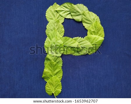 Letter P alphabet made with green leaf over blue background