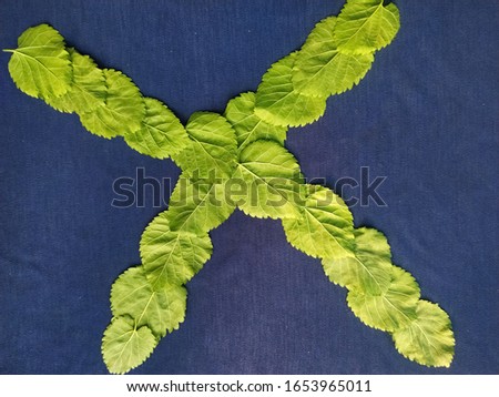 Letter X alphabet made with green leaf over blue background