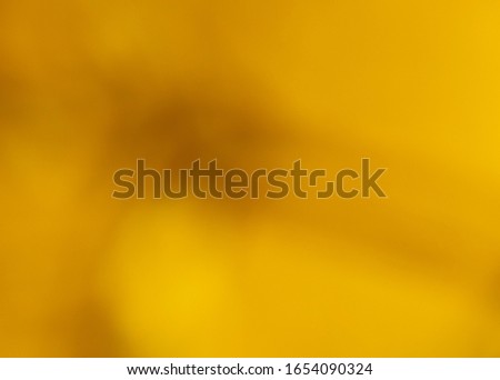 Bokeh of yellow flowers in spring as an abstract background.