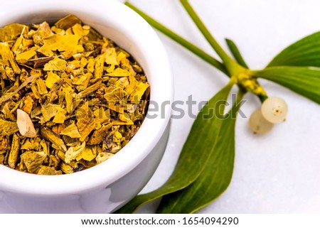 mistletoe, medicinal herb dried and fresh leaves with mortar