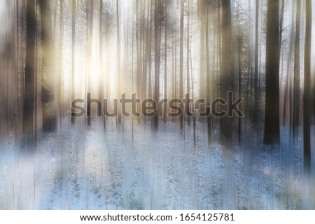 blurred background forest winter landscape motion, abstract motion picture