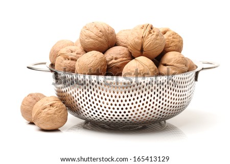 walnut on white background 