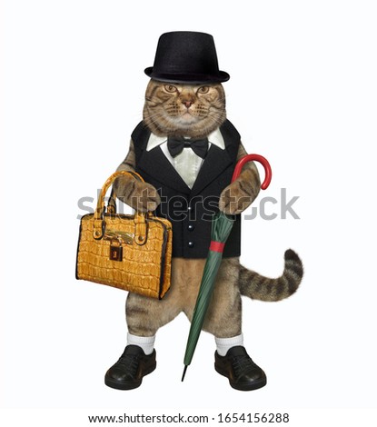 The beige fashionably dressed cat is holding a cane umbrella and a brown leather briefcase. He looks like a gentleman. White background. Isolated.