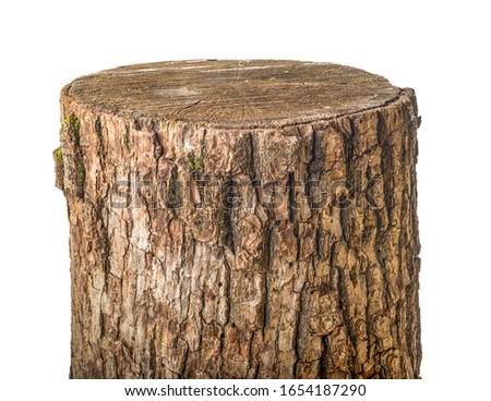 Old stump isolated on a white background Royalty-Free Stock Photo #1654187290