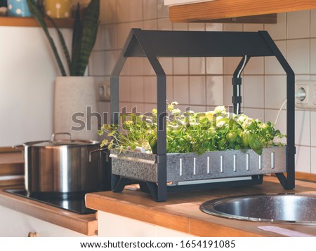 hydroponic grown herbs and vegetables in own kitchen with hydroponic grow kid Royalty-Free Stock Photo #1654191085