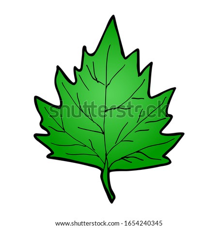 Spring green aspen leaf. Element for design. Drawn by hand. Stock vector illustration.